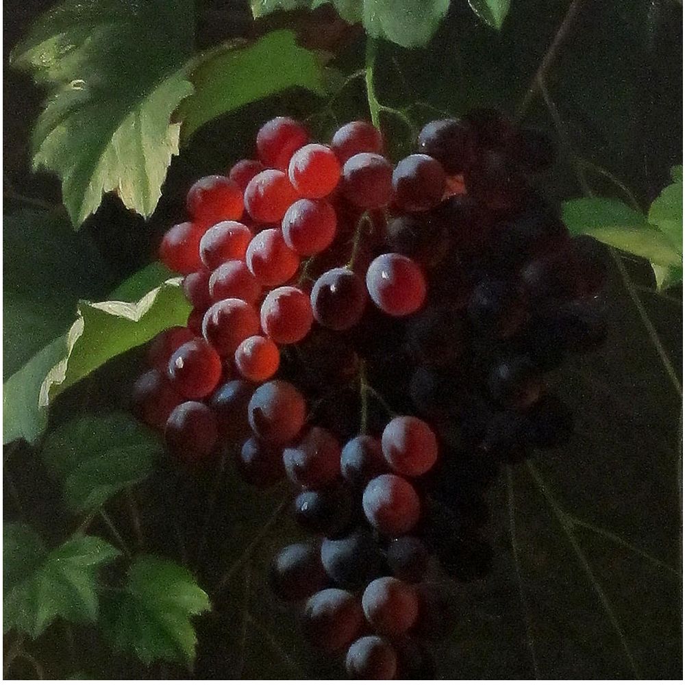 painting of grapes